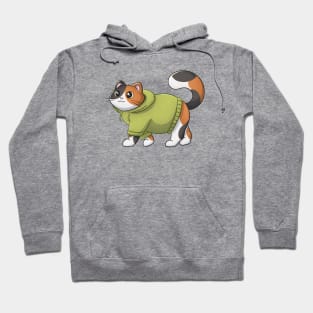 Cute Calico Cat Hoodie